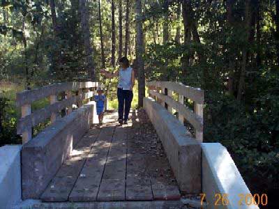 Pedestrians on new bridge