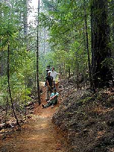 Trail Crew