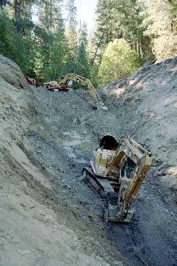 South Fork Restoration During