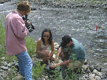 On the Creek