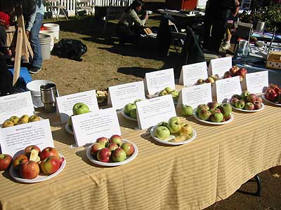 Heritage Apples