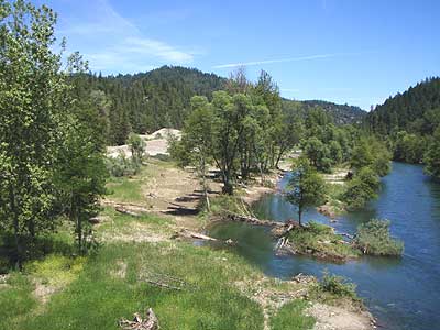 Along the Riverbank