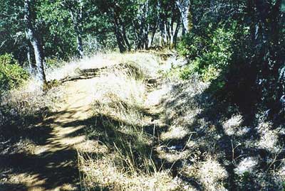 Howe Ditch