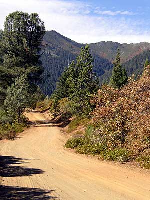 Trailhead at East Weaver Rd