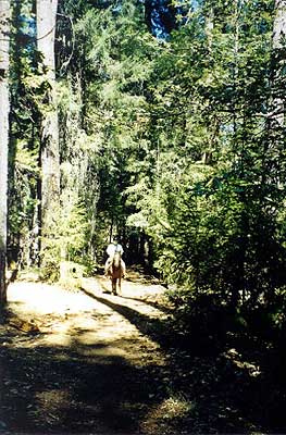 East Weaver Campground