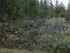 Mine tailings can be 
seen along West Weaver
Creek trail.